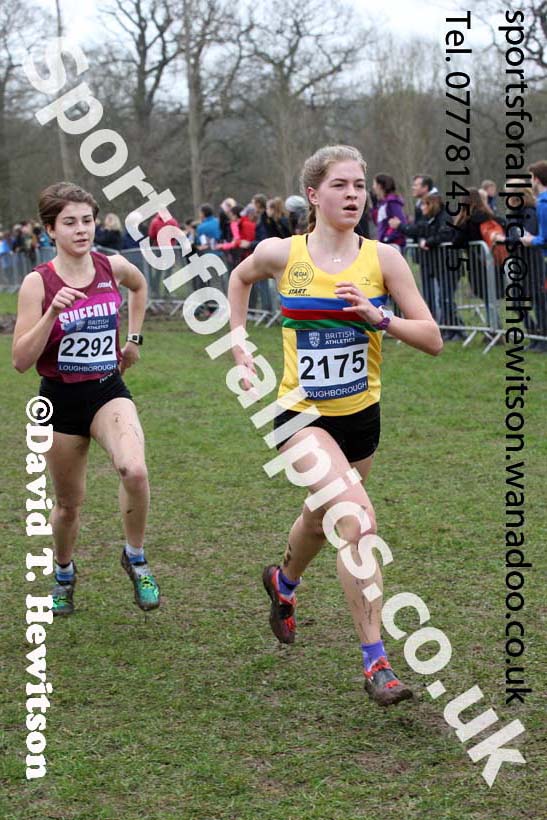 Womens under-17s Inter Counties Cross Country, Prestwold Hall, Loughborough. Photo: David T. Hewitson/Sports for All Pics